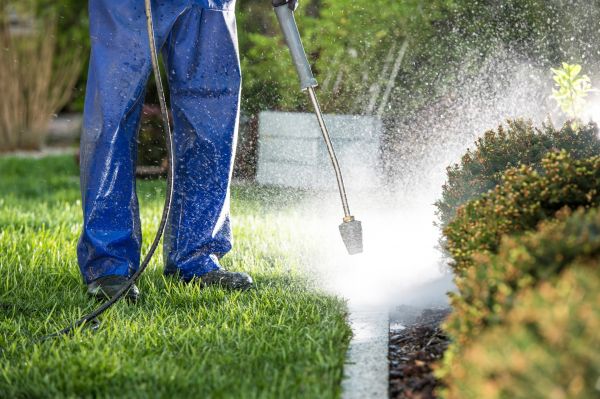 Curb Cleaning in Ankeny