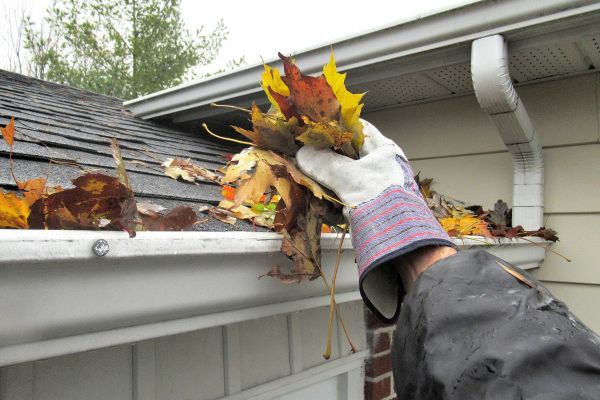 Eaves Cleaning in Ankeny