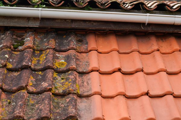 Industrial Roof Cleaning in Ankeny